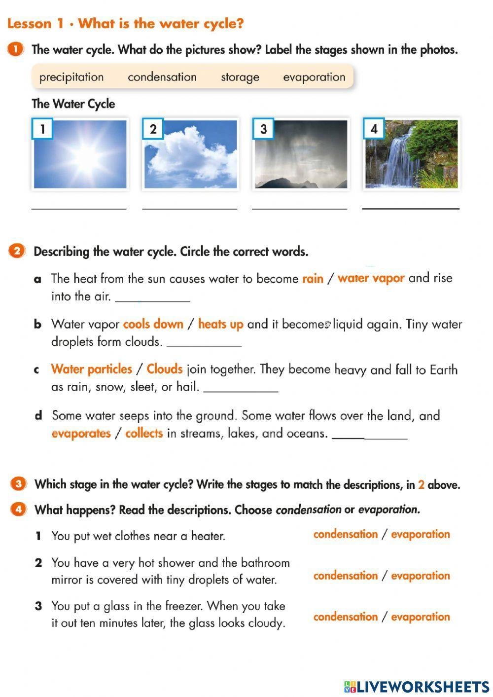 1650573 Water Cycle Dennisse Duque LiveWorksheets