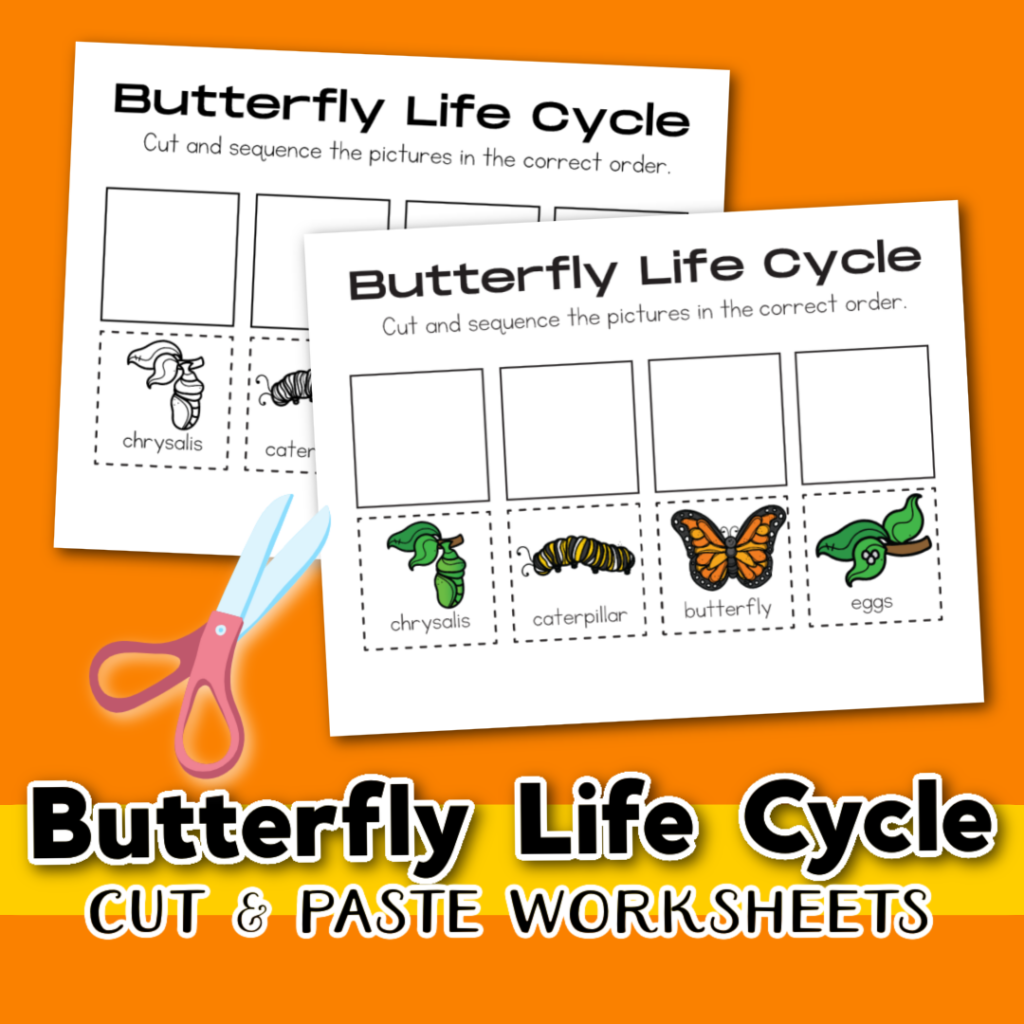 Free Butterfly Life Cycle Worksheet Free Butterfly Life Cycle Worksheet