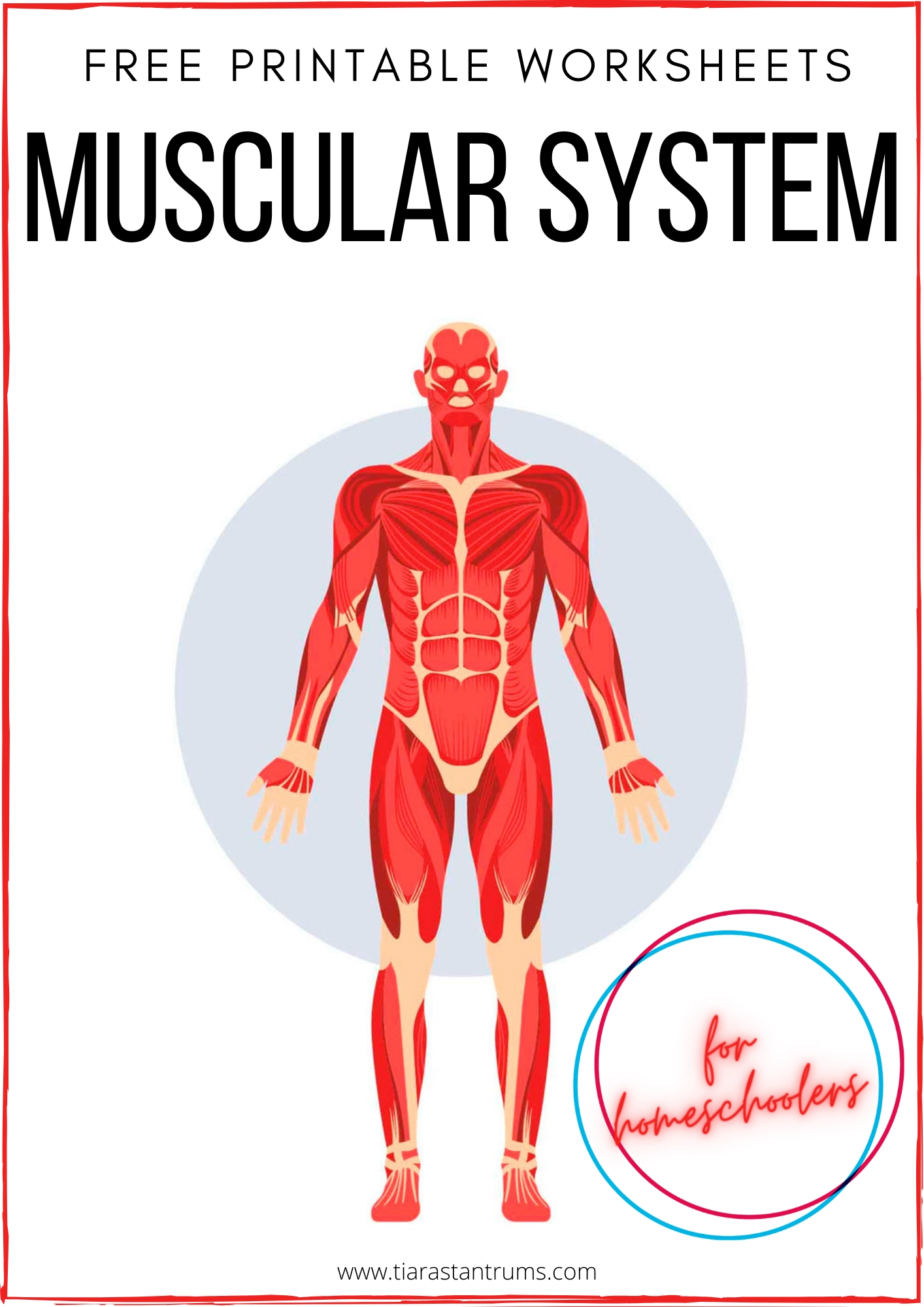 FREE Muscular System Worksheets Printable Tiaras Tantrums FREE Muscular System Worksheets Printable Tiaras Tantrums