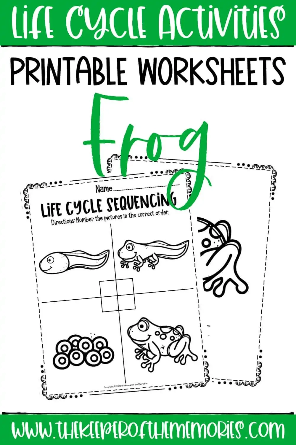 Free Printable Frog Life Cycle Worksheets The Keeper Of The Memories Free Printable Frog Life Cycle Worksheets The Keeper Of The Memories