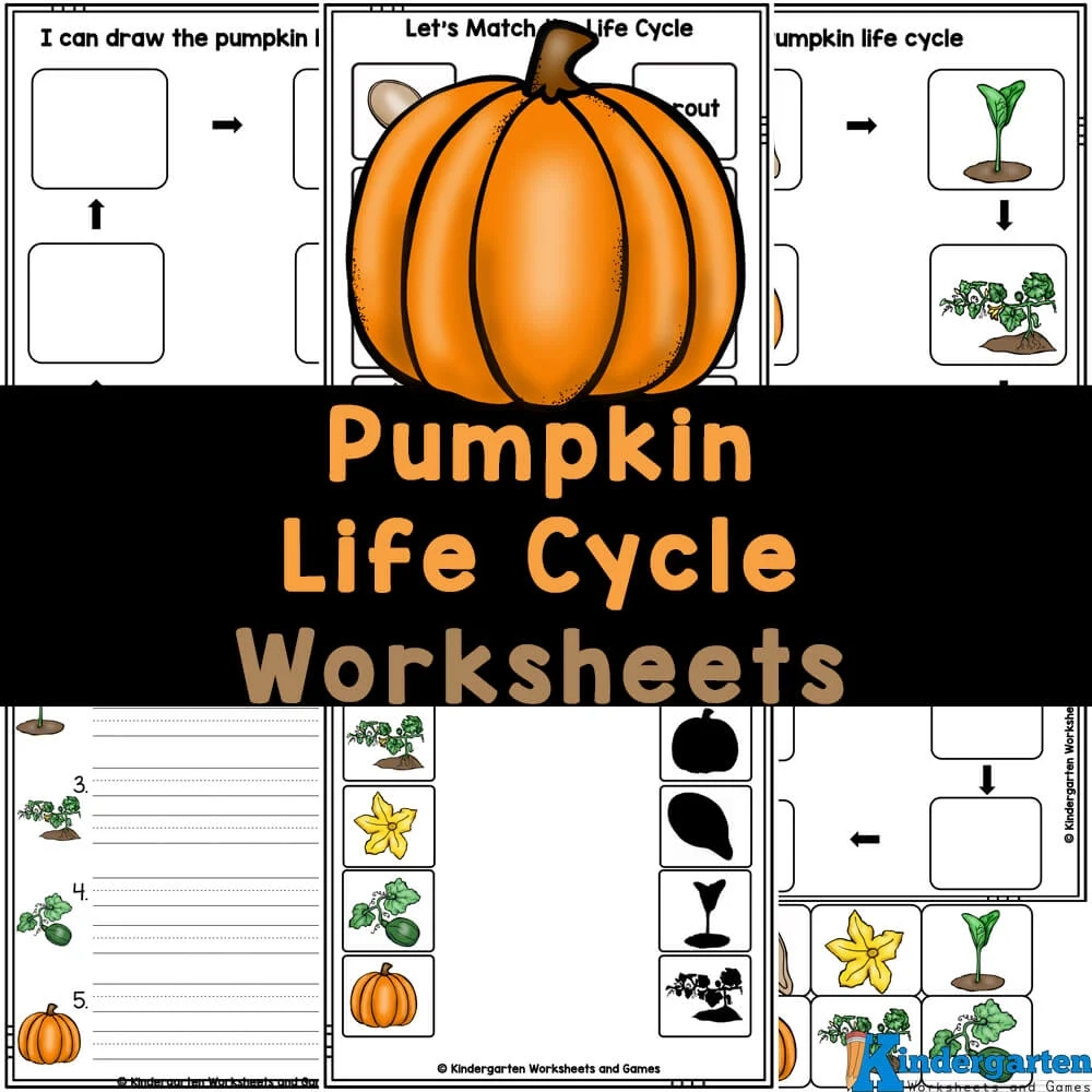 FREE Printable Pumpkin Life Cycle Worksheets For Kids FREE Printable Pumpkin Life Cycle Worksheets For Kids