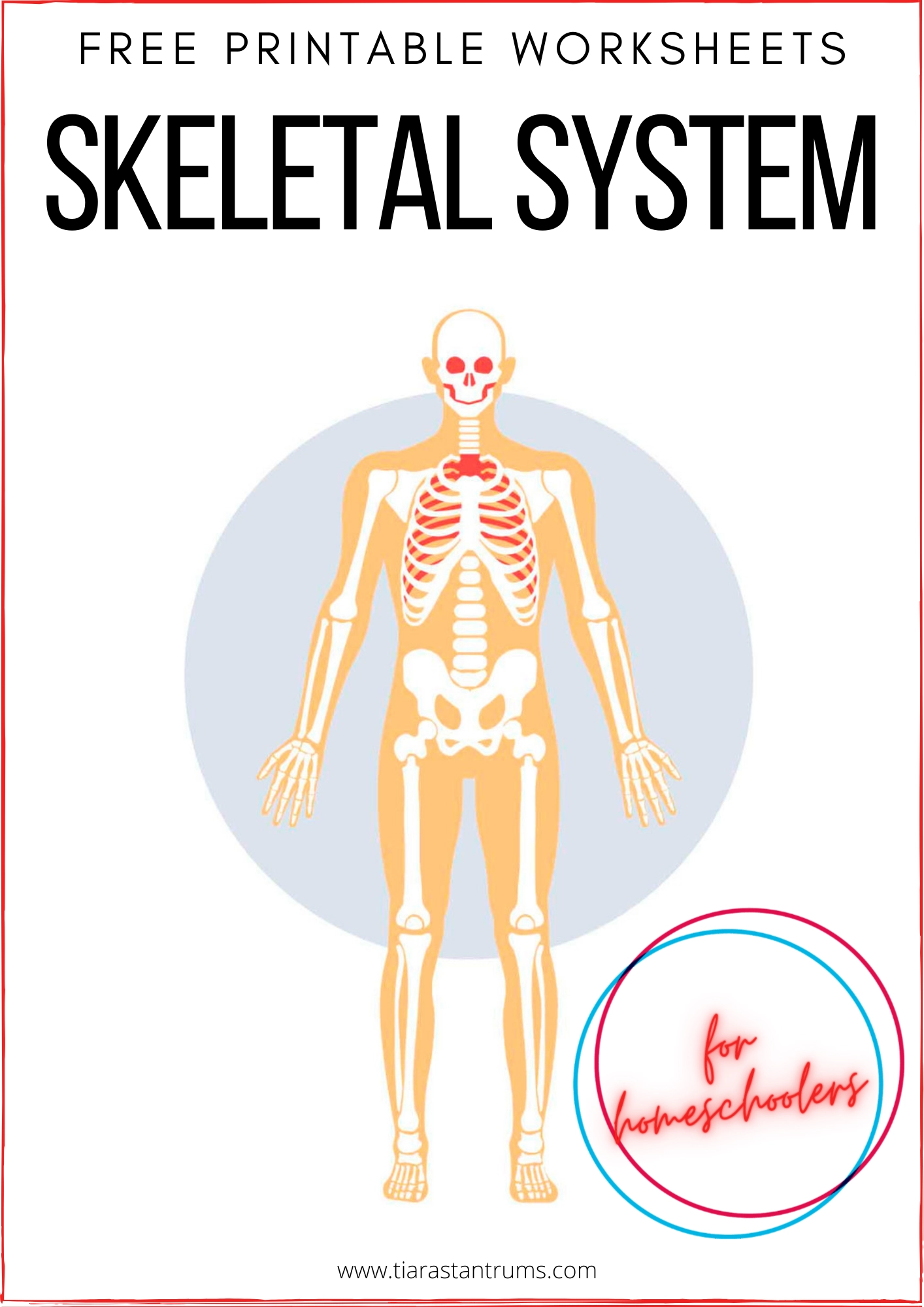 FREE Skeletal System Worksheets Printable Tiaras Tantrums FREE Skeletal System Worksheets Printable Tiaras Tantrums