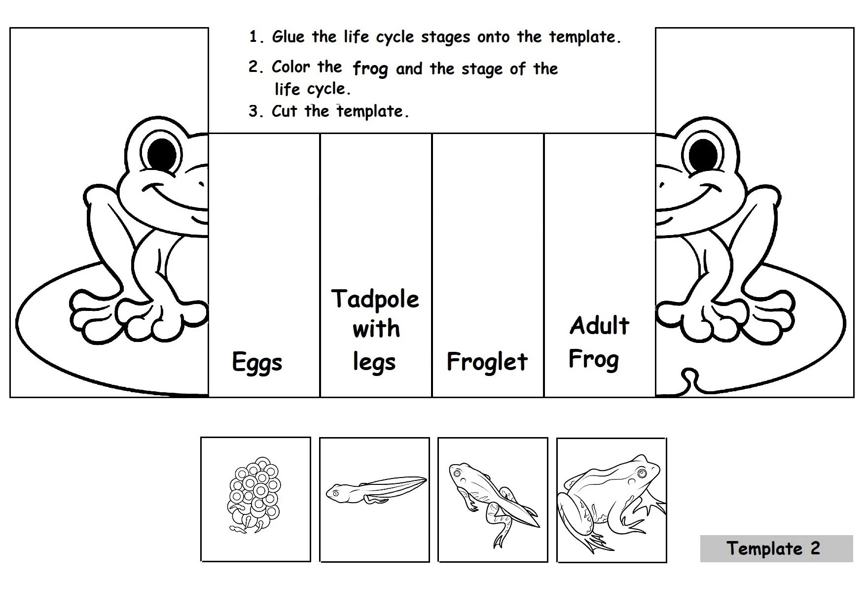 Free Printable Life Cycle Of A Frog Worksheet Free Printable Life Cycle Of A Frog Worksheet