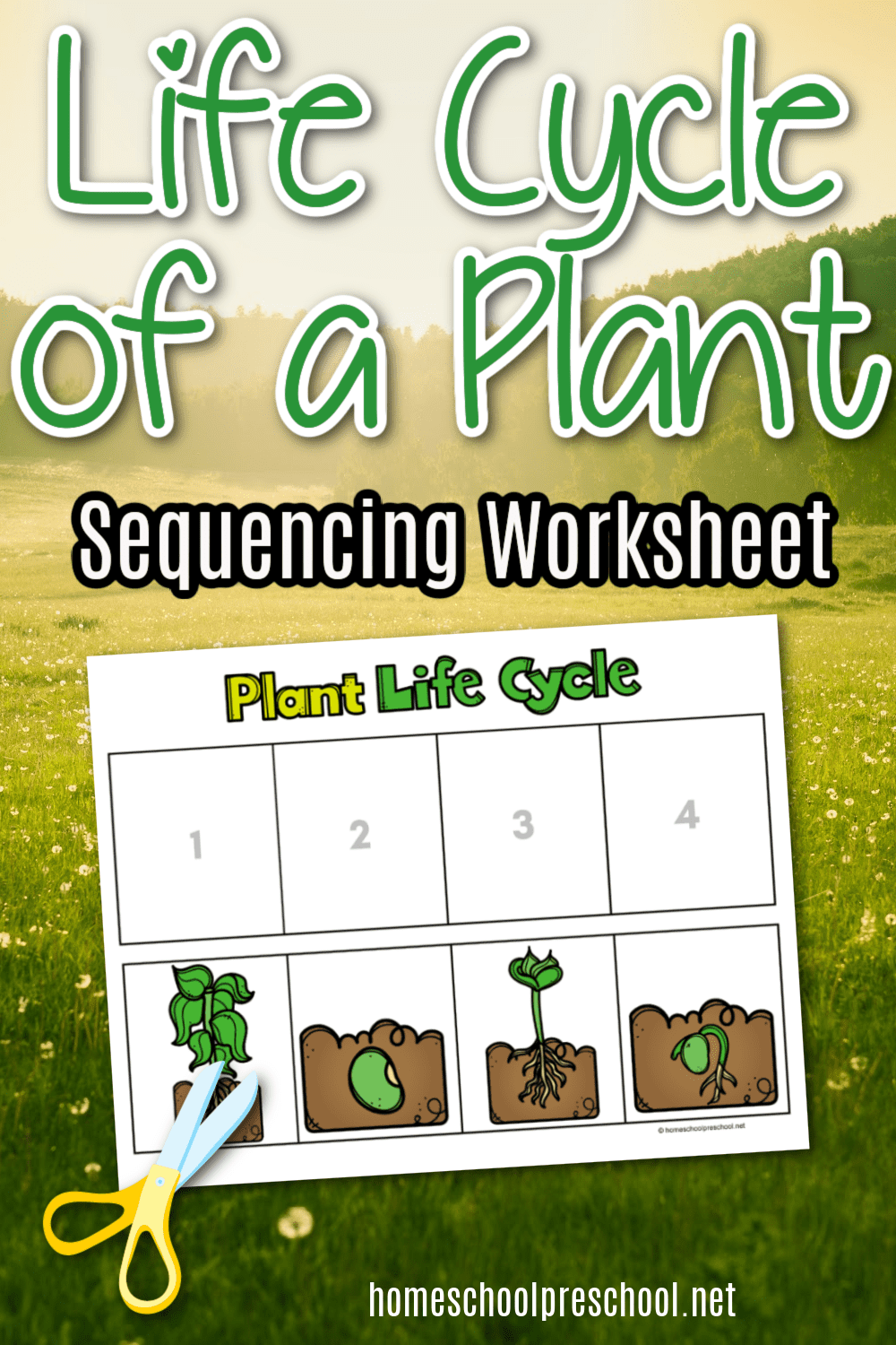 Printable Plant Life Cycle Worksheet Pdf Printable Plant Life Cycle Worksheet Pdf
