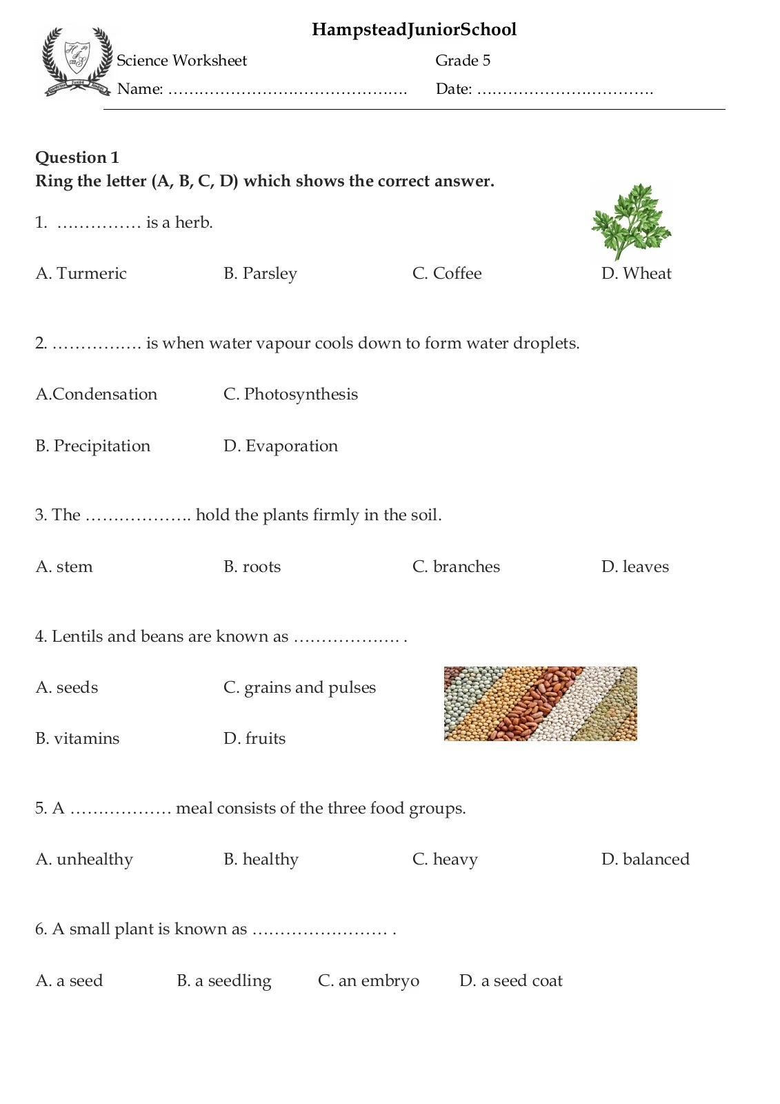 Science Printable Worksheets Science Printable Worksheets