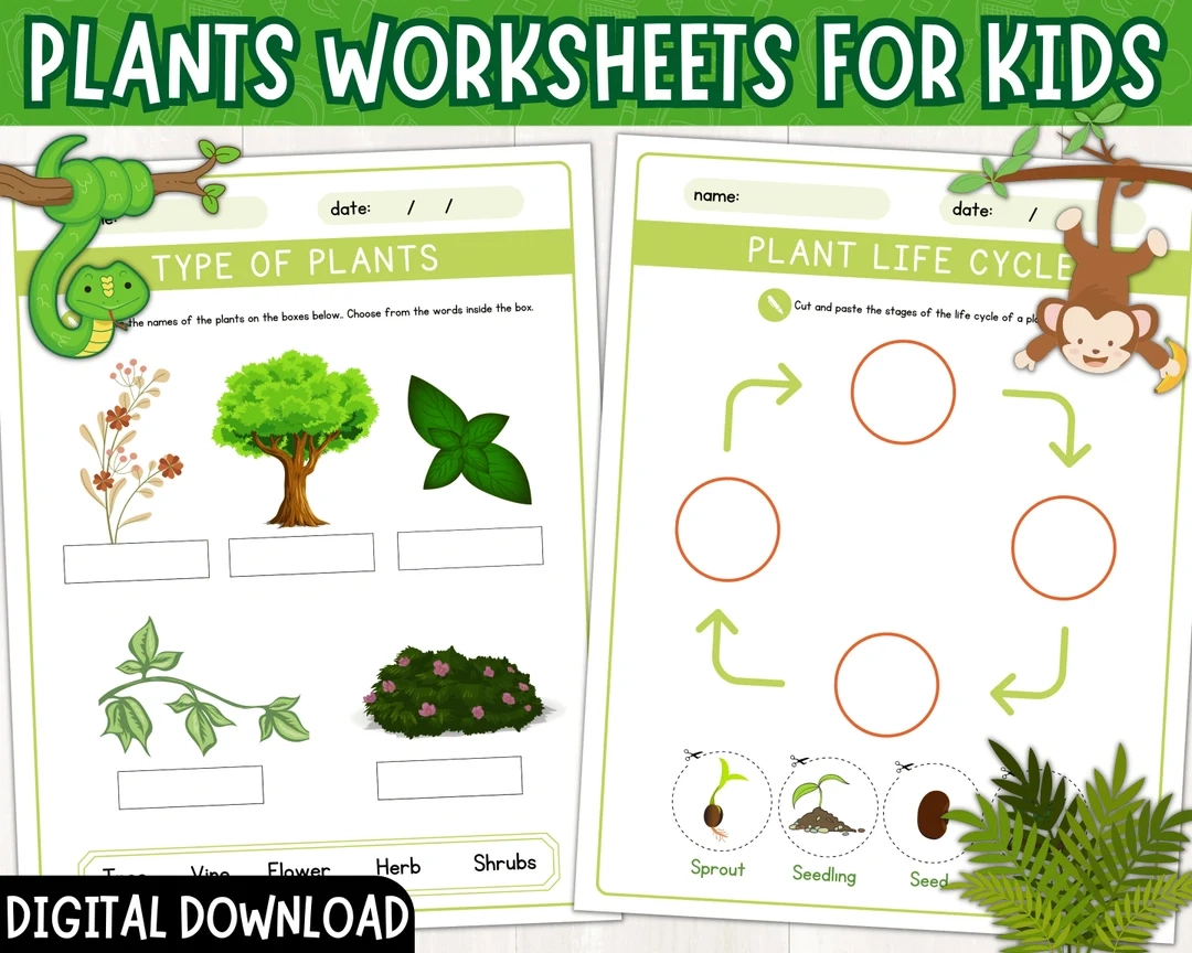 Types Of Plants Worksheet Plant Life Cycle Activity Types Of Plants Labeling Worksheet Printable Spring Unit Study PDF Etsy Types Of Plants Worksheet Plant Life Cycle Activity Types Of Plants Labeling Worksheet Printable Spring Unit Study PDF Etsy